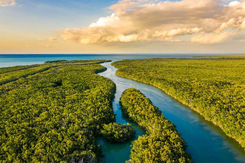 Everglades National Park Private Tour