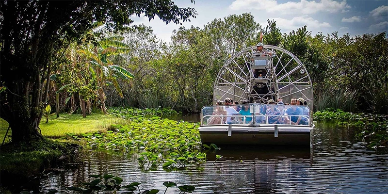 Everglades
